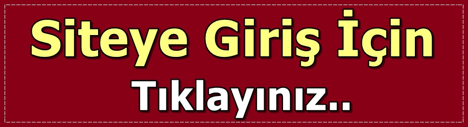 Şabaniye Escort Özlem foto 433